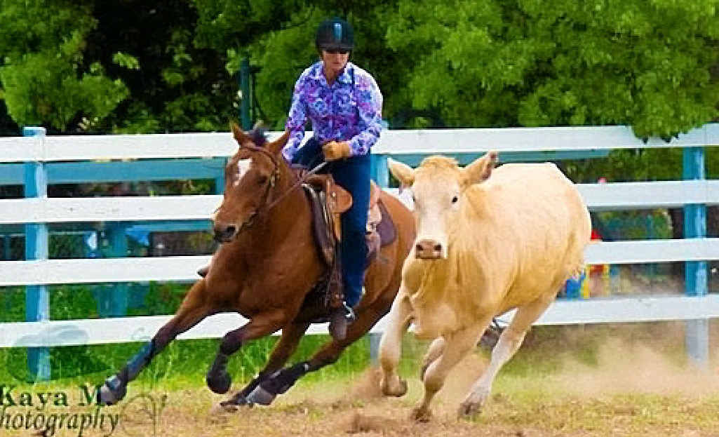 GOOD TO GO: Widgee’s Jacqui Martin prepares for this year’s ladies’ campdraft competition, to be held May 1. GOOD TO GO: Widgee’s Jacqui Martin prepares for this year’s ladies’ campdraft competition, to be held May 1.